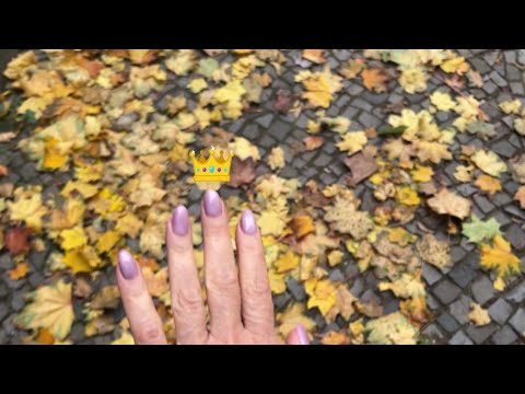 Видео: Новый маникюр! Новый друг! А так, все по старому)