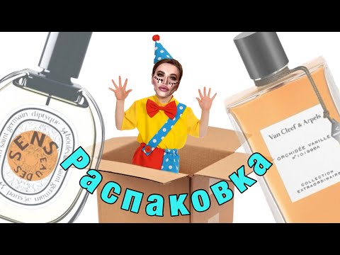 Видео: 📦 11 НИШЕВЫХ НОВИНОК В КОЛЛЕКЦИИ / распаковка