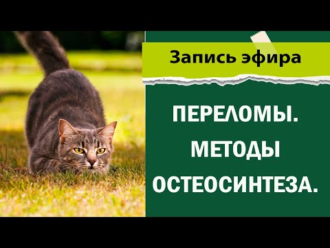 Видео: Переломы. Методы остеосинтеза.
