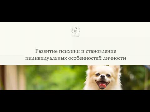 Видео: Лекция курса "Психология собаки": Факторы формирования психики собаки.