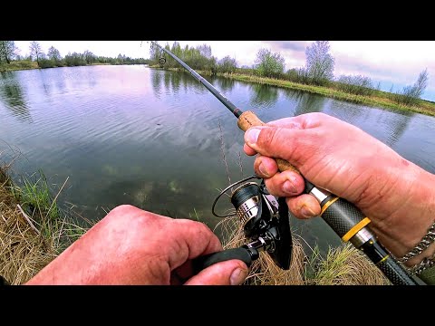 Видео: Щука начала просыпаться после нереста. Рыбалка на спиннинг в мае.