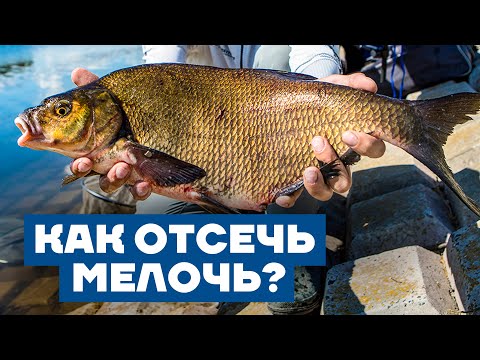 Видео: 😱 Как Отсечь Мелкую Рыбу и Ловить только КРУПНУЮ? Раскрыли еще один секрет!