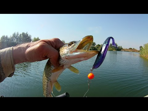 Видео: Пелагический джиг и проба новых спиннингов - 02.09.20.