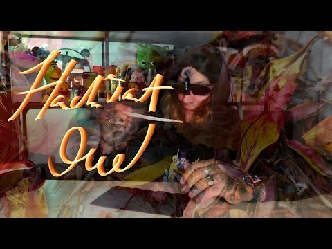 Видео: ПЕРВЫЙ ЦИТРУС, КОТОРЫЙ Я ЗАХОТЕЛ | Nishane Hacivat Oud