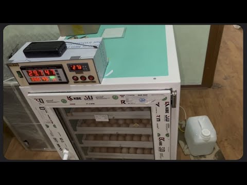 Видео: У Нас Новый Помощник Инкубатор На 400 яиц От Владимира Коробкова