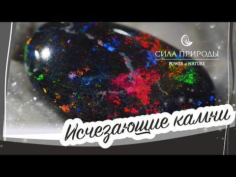 Видео: Самые редкие и исчезающие драгоценные камни на планете от автора ювелирного бренда Сила природы