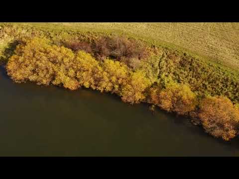 Видео: Осенний хоровод.Music: Seasonable Project_A Very Old Novel. Фими мини 3.