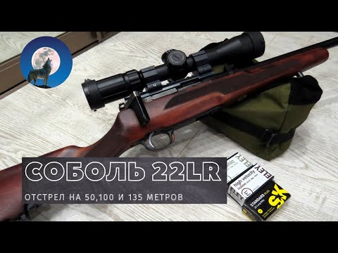 Видео: ТЕСТ ПАТРОНОВ 22 LR ДЛЯ ОХОТЫ * МЕЛКАШКА СОБОЛЬ *