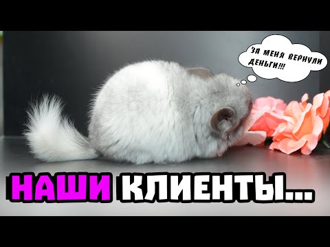 Видео: Немного про наших клиентов...
