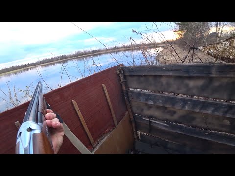 Видео: ВЕСЕННЯЯ ОХОТА НА СЕЛЕЗНЯ УТОК .ОХОТА В РЕСПУБЛИКЕ КОМИ С САМОДЕЛЬНЫМИ ЧУЧЕЛАМИ.
