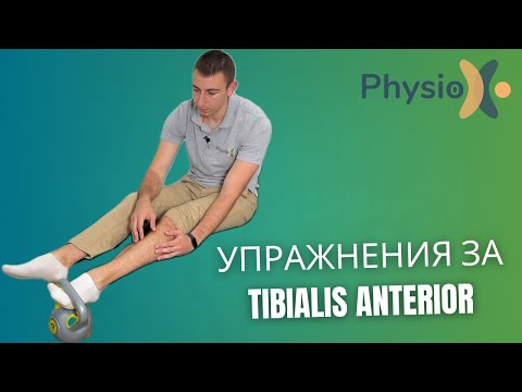 Видео: Упражнения за Tibialis Anterior – премахни болката в подбедрицата