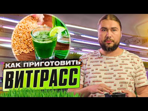 Видео: ВИТГРАСС - сок ростков пшеницы. Как приготовить витграсс?