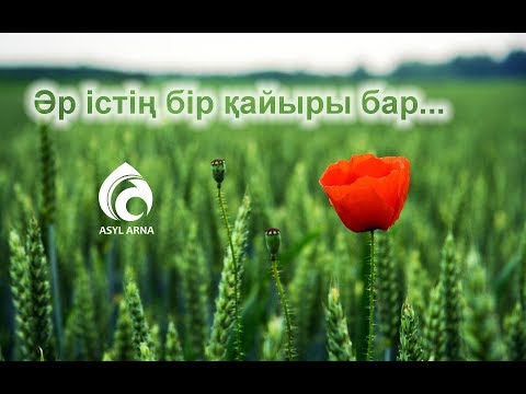 Видео: Әр істің бір қайыры бар / Жұма уағызы