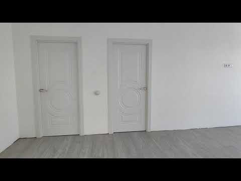 Видео: 5 ноября 2025 г.