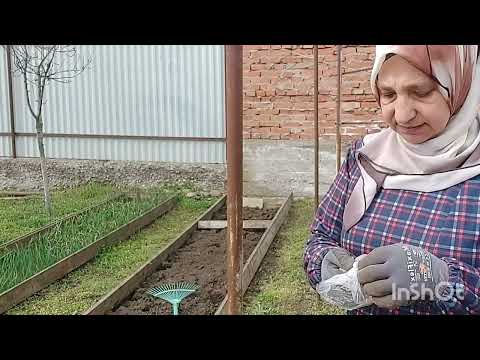 Видео: //У нас  Сегодня Генеральная  уборка  по двору и посадка в огороде//