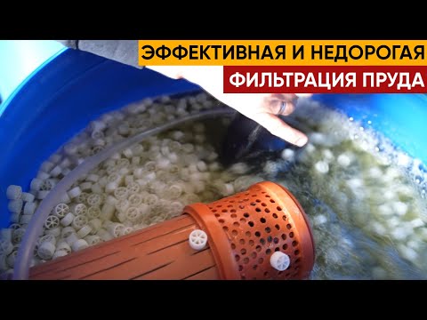 Видео: Фильтр для Пруда. Рассказываю как сделать дешевую систему фильтрации для небольшого пруда. Биофильтр