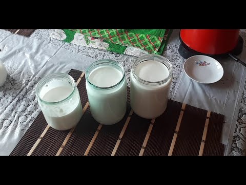 Видео: Сметана из козьего молока. Делаю сама дома.
