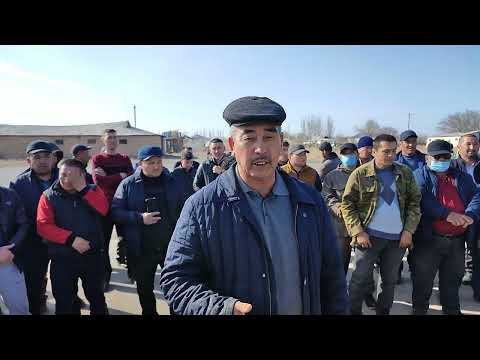 Видео: 22 февраля 2022 г.