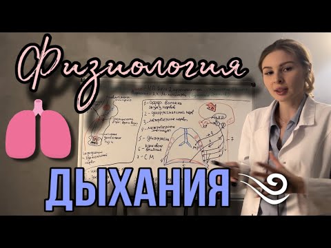 Видео: Физиология|🫁Механизмы вдоха и выдоха |Полный разбор темы Внешнее Дыхание