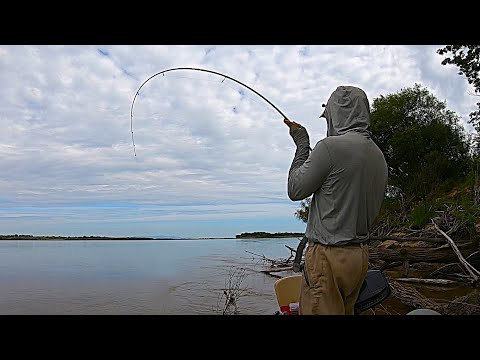 Видео: ЖЕЛТОЩЁК КРАСНОПЁР ВЕРХОГЛЯД жадно жрут стаи малька. Рыбалка на спиннинг