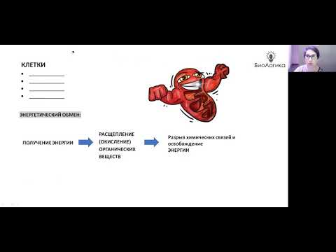 Видео: Лекция 9. Энергетический обмен