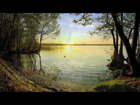 Видео: Зачарованная моя ( Песняры )