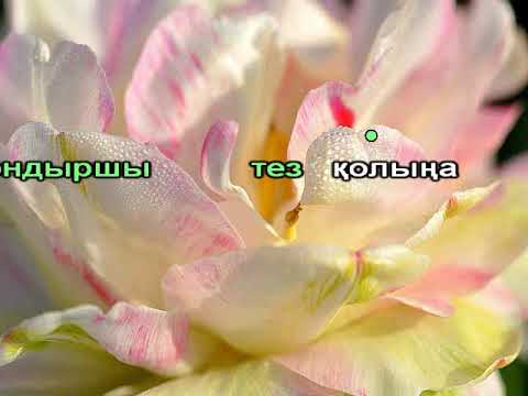 Видео: Аяла Мені карако Мақпал Исабекова