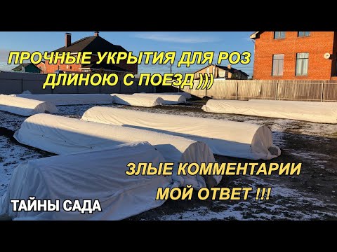 Видео: Мои розы в ноябре. Прочные укрытия для роз. Ответ на злой комментарий и многое другое. Будет весело.