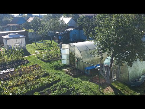 Видео: Наша дача в сентябре 4.09.2025