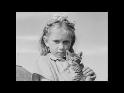 Видео: Молочная ферма (1943)