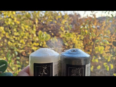 Видео: Покупки с Фикс Прайс, что советую. Ноябрь в Армении. Селедка под шубой.