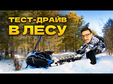 Видео: Тест-драйв мотоснегоката #draxter extreme 20 л.с. в густом лесу