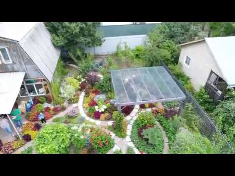 Видео: Колеусы 2018. Эпизод 5 ( с квадрокоптера)