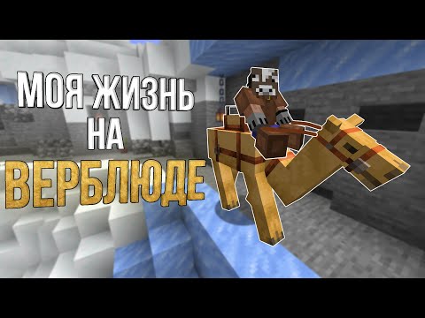 Видео: РАЗВИЛСЯ СИДЯ НА ВЕРБЛЮДЕ! \ Майнкрафт 1.20