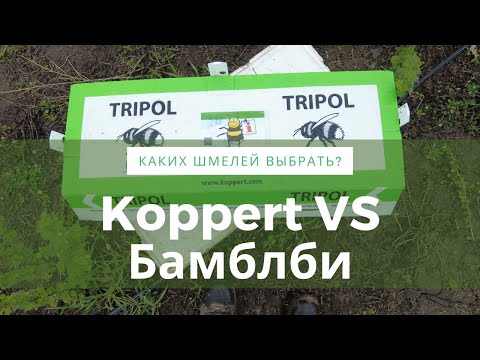Видео: Шмели на плантации. Koppert VS БамблБи.