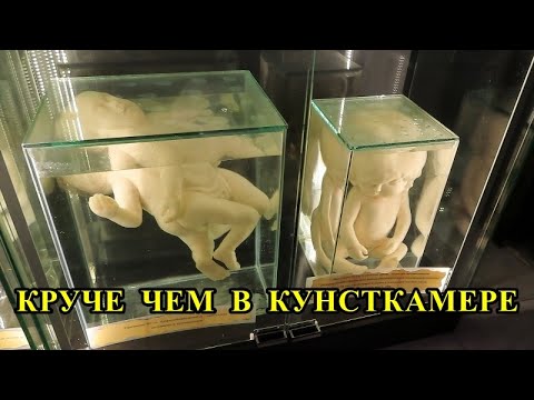 Видео: КРУЧЕ ЧЕМ В КУНСТКАМЕРЕ / COOLER THAN IN THE KUNSTKAMMER