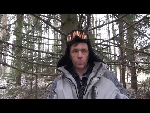 Видео: Охота на куницу капканами.