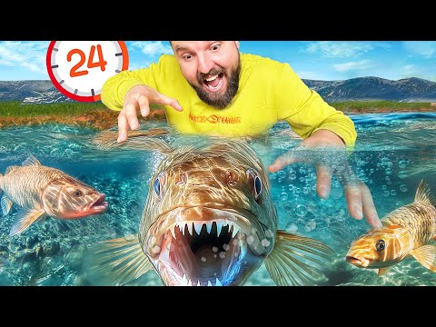 Видео: 240 РИБИ ЗА 24 ЧАСА!!! ХВАНАХ ОГРОМНА РИБА С РЪЦЕ!