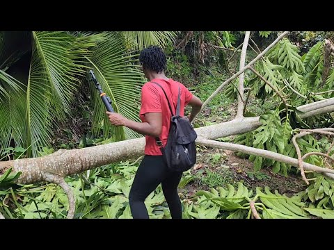 Видео: Показываю тебе, как я был в больнице, и как мы с тетей П проверяли ферму после урагана.