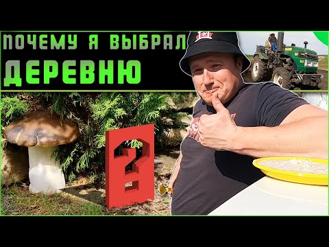 Видео: Будни в деревне.  Что для меня деревня? Почему деревня а не город?