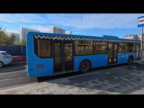 Видео: По трассе новой автодороги из Отрадного в Свиблово.