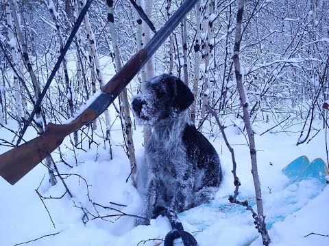 Видео: Устранение шата стволов  ТОЗ-34. Замена рамки запирания.