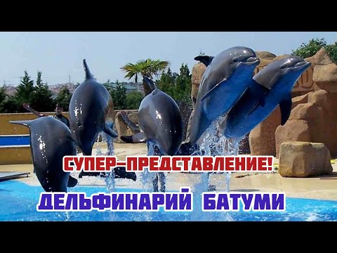 Видео: СУПЕР- ШОУ ДЕЛЬФИНОВ! / БАТУМСКИЙ ДЕЛЬФИНАРИЙ / Batumi Dolphinarium/ ВЕЧЕРНЯЯ НАБЕРЕЖНАЯ