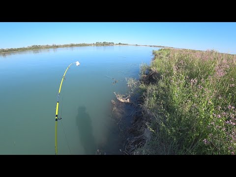 Видео: Река Или. Баканас. Дельта Или. Рыбалка на сазана. Река Или вид с Дрона