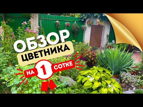 Видео: 16|08|24 📝ИТОГИ СЕЗОНА2024 🌺5 ЗОН ЦВЕТНИКА‼️УДАЧНЫЕ РЕШЕНИЯ👩🏼‍🌾