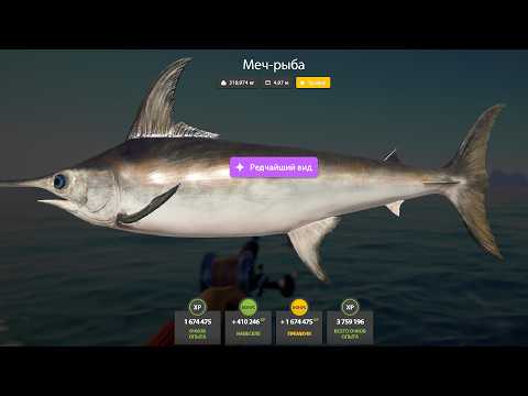 Видео: НОВЫЕ ФАРМЫ СЕРЕБРА и РАЗДАЧИ ТРОФЕЕВ! СВОДКА по ВОДОЁМАМ на 09.02 в Русской Рыбалке 4! РР4