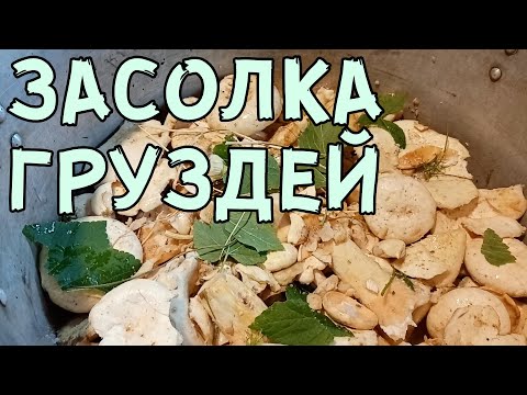 Видео: Простейшая засолка груздей без варки