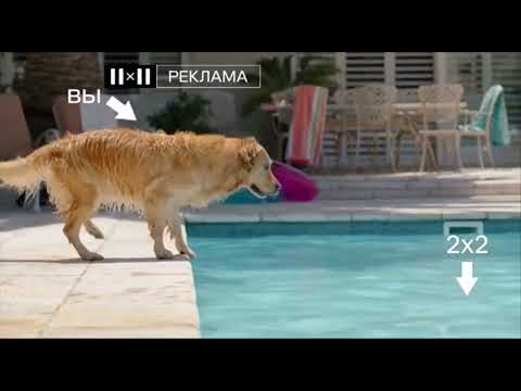 Видео: Летнее оформление 2x2 (01.06.2022-31.08.2022)