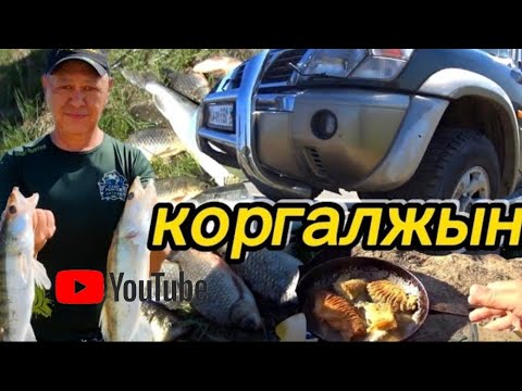Видео: Рыбалка на реке Нура! Бешенный клёв карася и судака,устал таскать их на фидер! Вызвали эвакуатор!