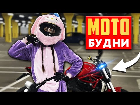 Видео: Катаюсь по Питеру в костюме зайца на мотоцикле | Мотобудни на Ducati